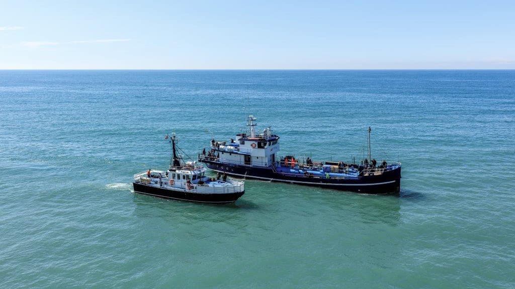 Sea angling with M/S Albatros and M/S Skagerrak, Hirtshals