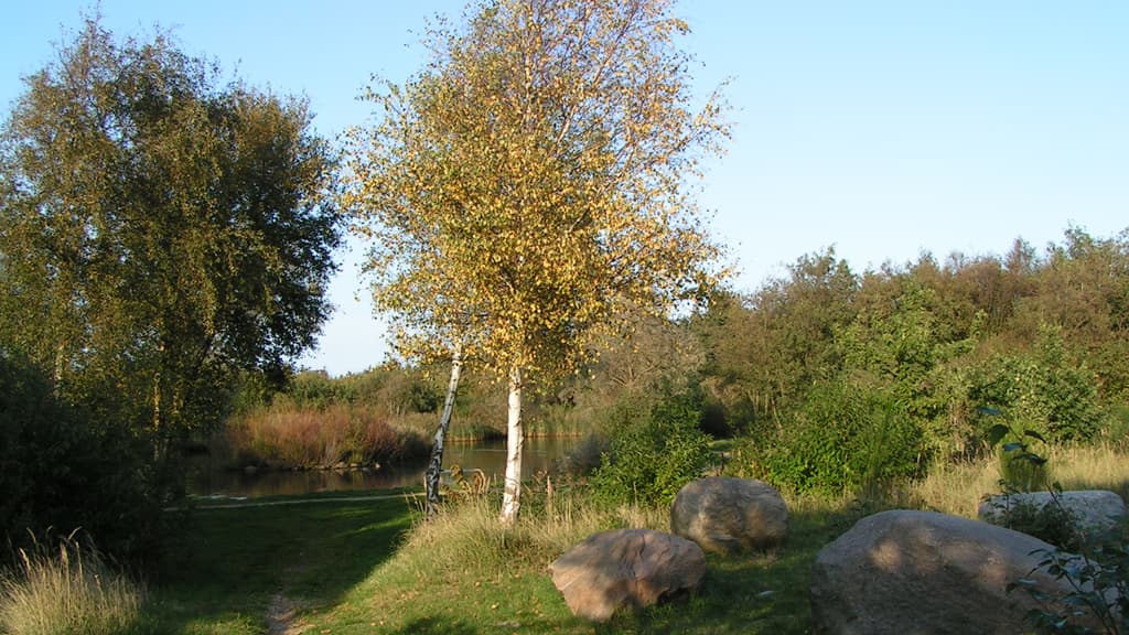 Folkeparken (park)