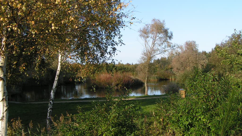 Folkeparken (park)