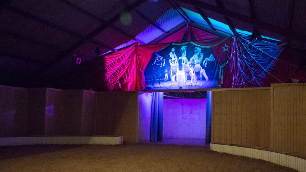 The Circus Farm