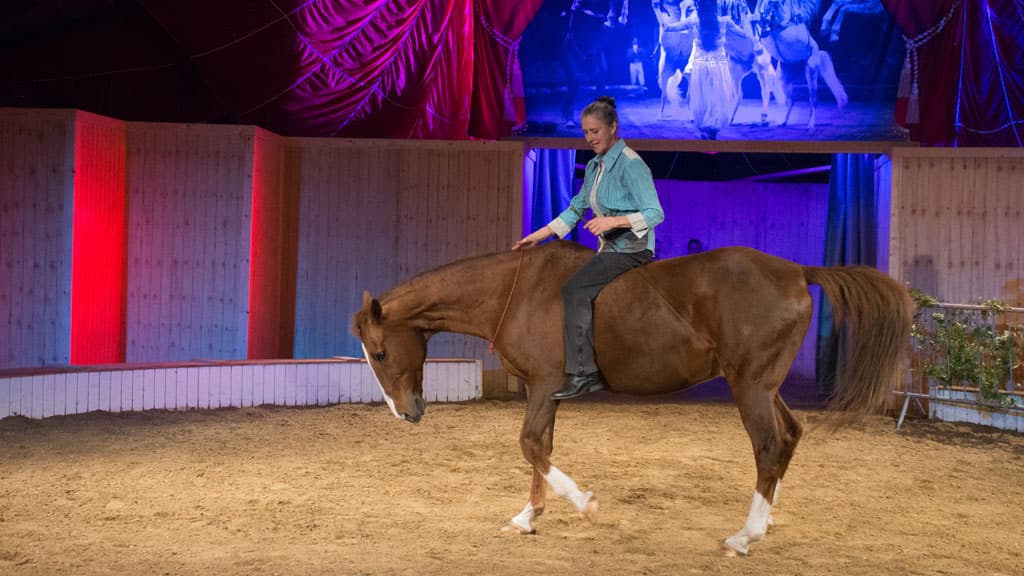 The Circus Farm