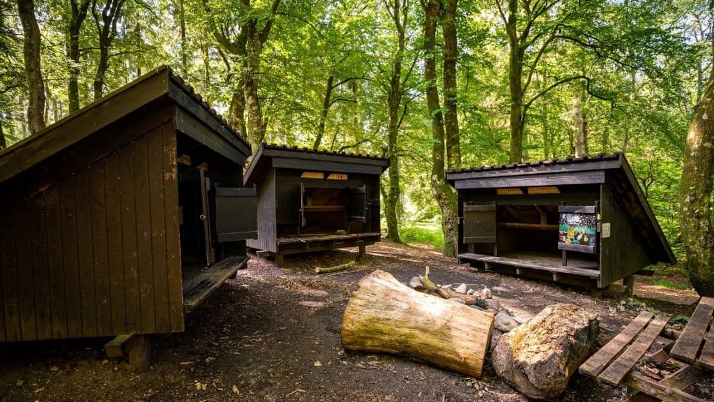 Sleeping in the wild in Rold Skov