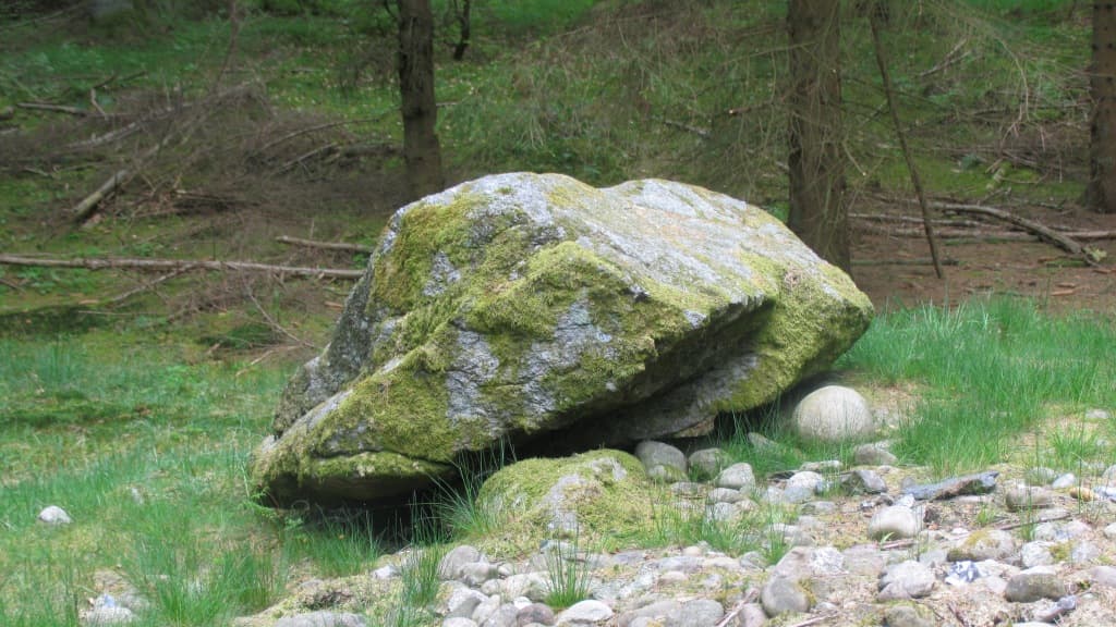 Stendyssen Ønskestenen (Hünengrab Wunschstein) 