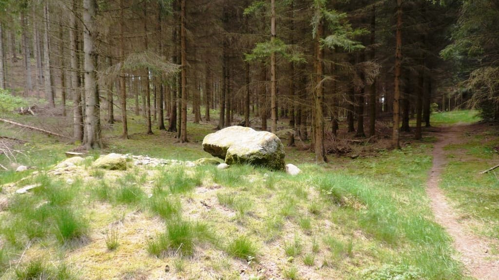 Stendyssen Ønskestenen (Hünengrab Wunschstein) 