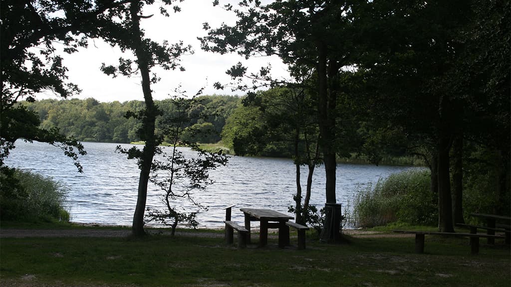 Jels Midtsø