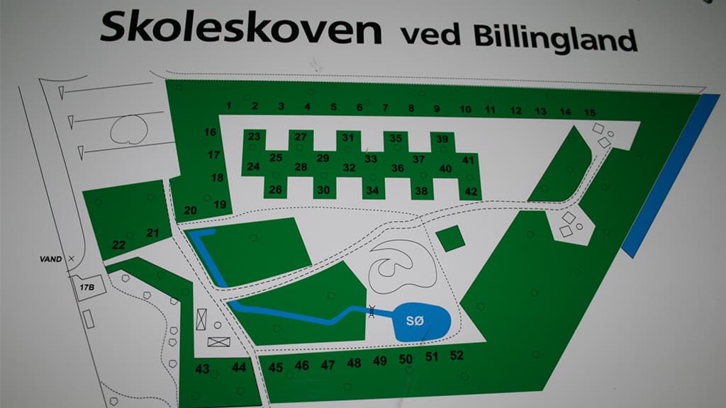 Skoleskoven, Vejen