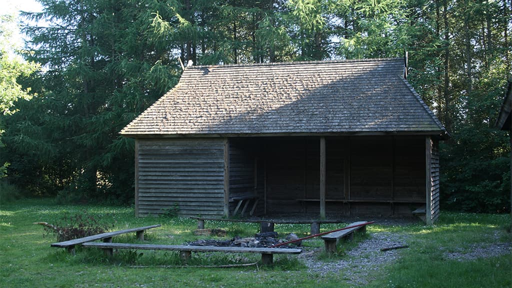 Skoleskoven, Vejen