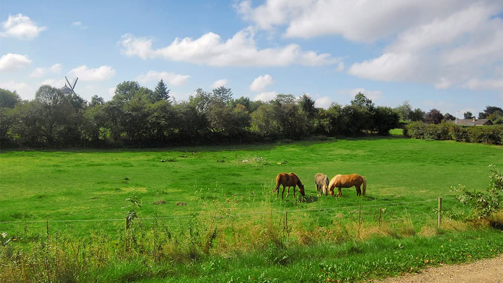 Slotsgaarden, accommodation in Jels