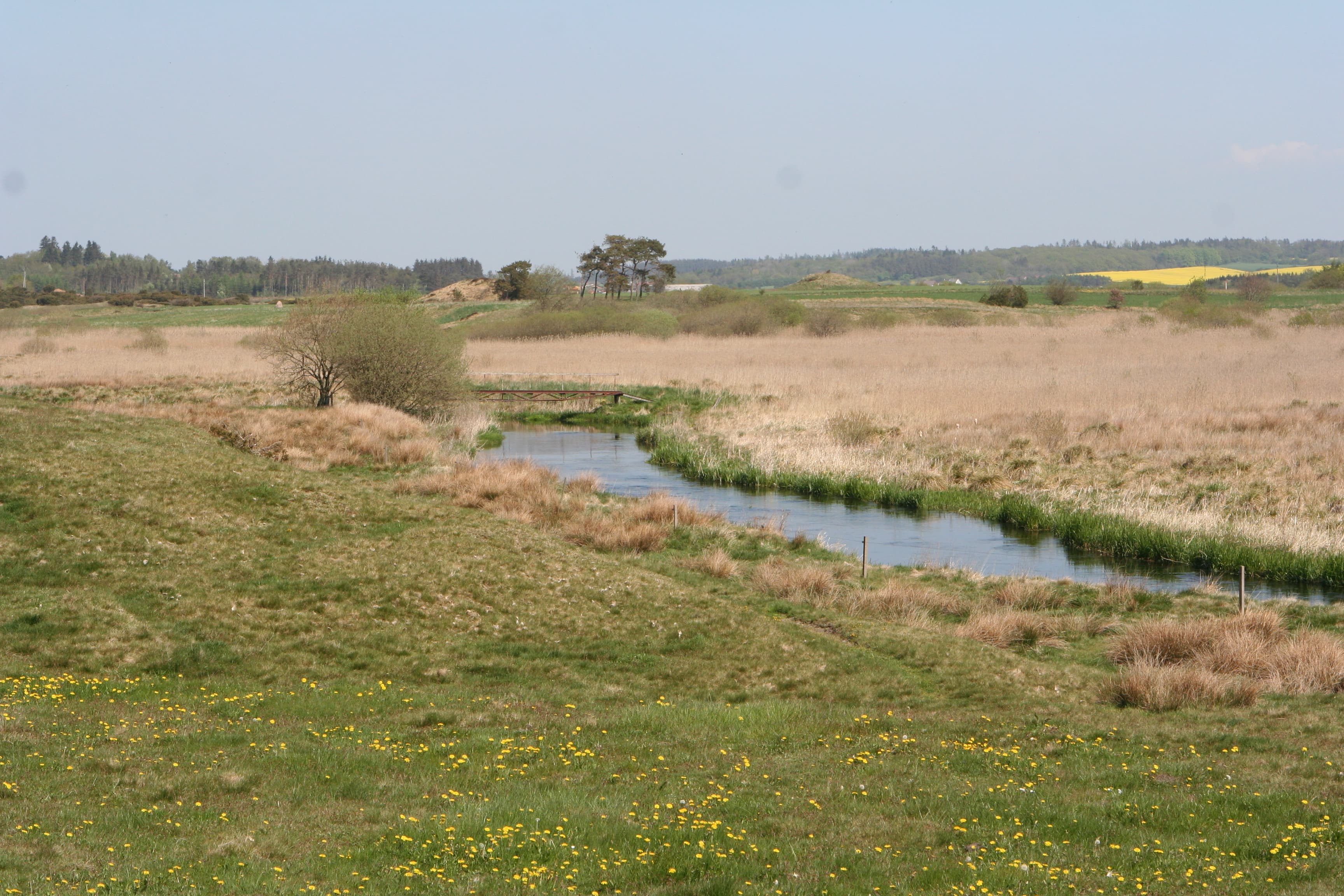 Borup Hede Nature