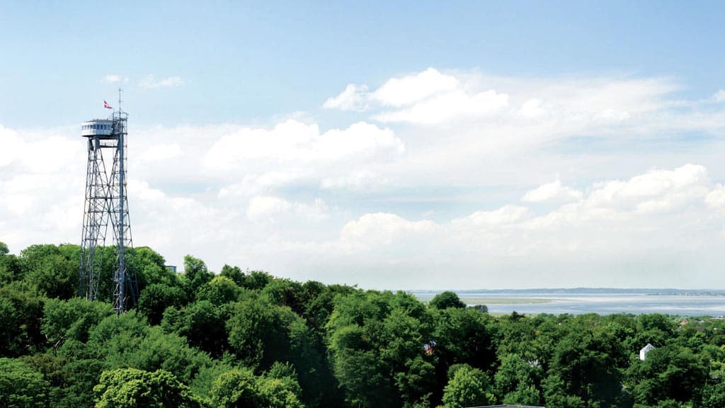 Skovbakken nature area