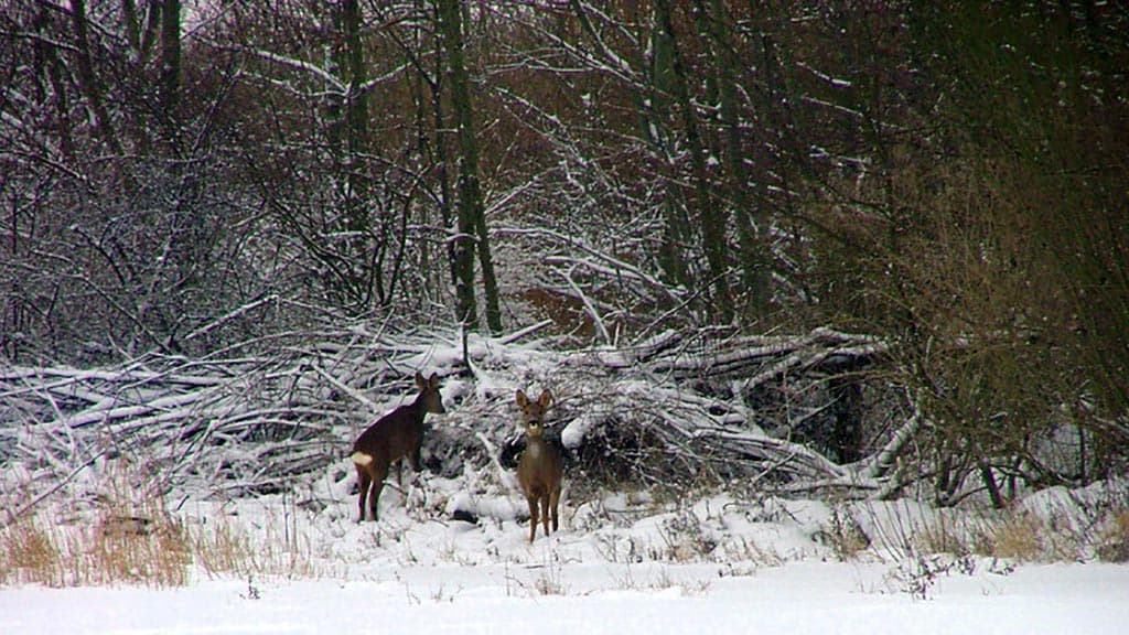 Lindholmer Fjordpark