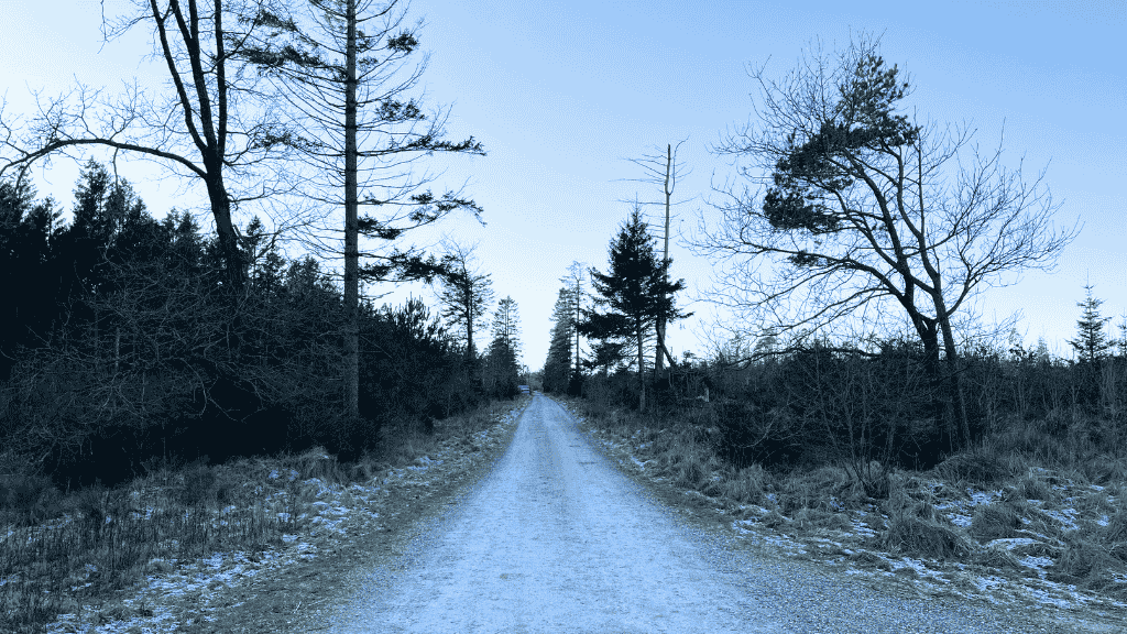 Frøslev Polde Trail