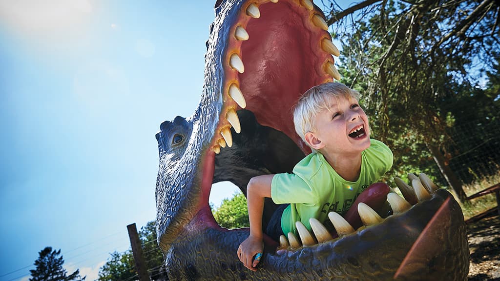 Erlebe einen wilden Tag im GIVSKUD ZOO