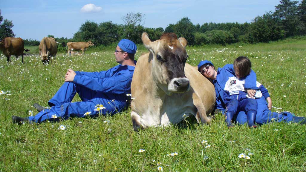 Gyvelborg Visitor Farm and Camping - Farm holiday