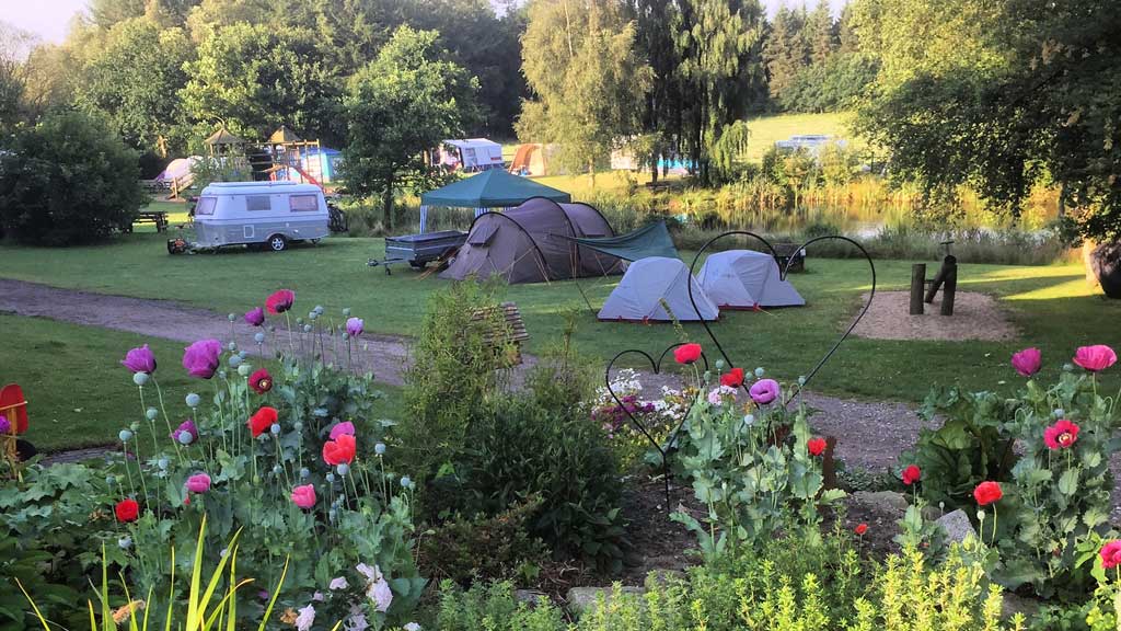 Gyvelborg Visitor Farm and Camping - Farm holiday