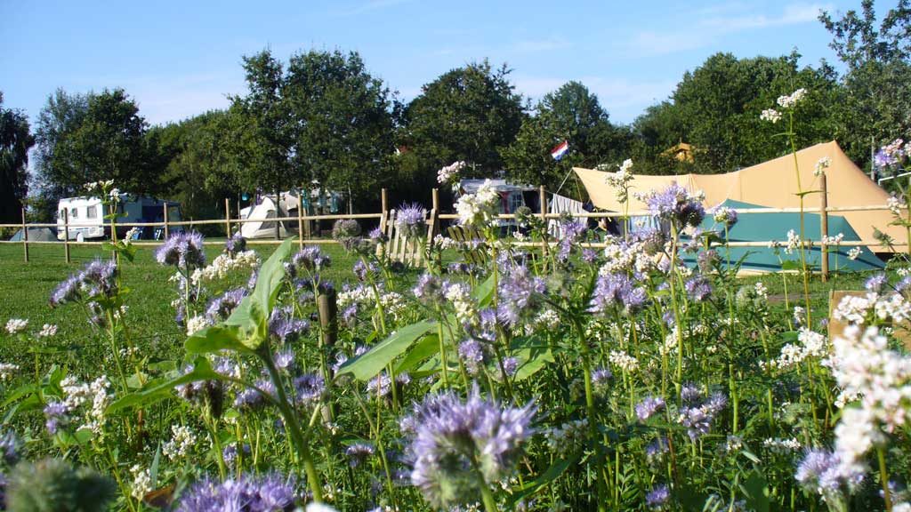 Gyvelborg Visitor Farm and Camping - Farm holiday